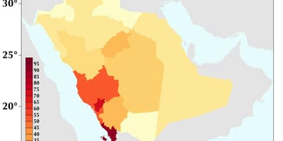 Saudi Arabia population density map